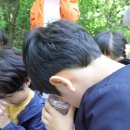 월문초등학교(병설) 이미지