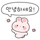 올가드림뷰티수지풍덕천