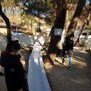 삼백분식