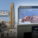 용산 전쟁기념관도 독도 철거‥&#34;진짜 뭐가 있나&#34; 발칵 이미지