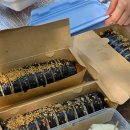 김밥이랑돈가스 | 선유도 한강 피크닉 김밥처럼 꿔바로우 돈가스 집애김밥 묵참김밥 후기