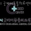 24시 굿케어동물의료센터 네이버블로그