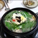 바위집염소 이미지