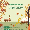 ＜절물자연휴양림＞ 11월 주말 가족 숲 프로그램 (11/15 토) 이미지