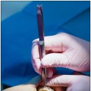 평생플란트치과의원 이미지