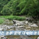 꿈에농장 이미지