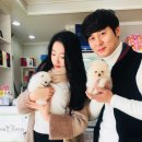 남지애견샵 이미지