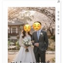 살롱드 뉴 | 모바일 청첩장 살롱드레터 후기