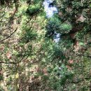 창암목장 이미지