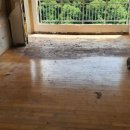 대곡이오스 이미지