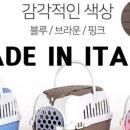 나은 캔넬 이미지