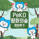 [KOICA 글로벌 서포터즈 WeKO 6기] PeKO 평화의숲 팝업스토어 후기🍀