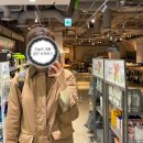 대영동물병원 | 11월 둘째주 일상: 난 널 버리지 않아 너도 같은 생각이지?