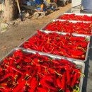 신용방앗간 이미지