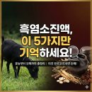 육골농장 | 흑염소진액의 놀라운 진실 5가지: 우리가 몰랐던 사실들