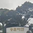 애월브레드