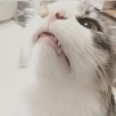 베토퀴놀코리아(주) 이미지