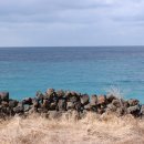 제주돌담 이미지