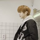 강아지트 이미지