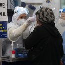 삼성직업소개소 이미지