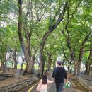 1001숲 이미지