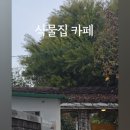 식물집카페 | 서귀포 카페 식물집카페 후기 제주 감성 가득한 정원 같은 힐링 공간