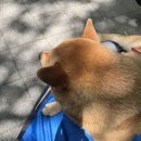 월례공원 앞 | 야구로 시작해서 야구로 끝내는 6월