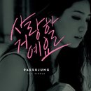 배수정 카카오 검색결과