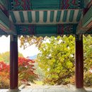 공주-64 | 천안 근교 데이트, 공주 공산성 가을 나들이 후기