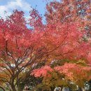 경상남도수목원전망대 이미지