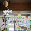 인사노 이미지