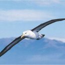 로즈와 나 이미지