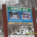 자연(애)장수 이미지