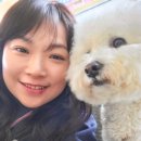 노라도라 이미지