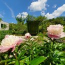 세련농장 이미지