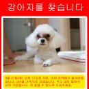 두리문구 이미지