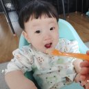 형제미트 이미지