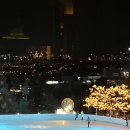 서울 그랜드하얏트 호텔 갤러리 : 신년맞이 모엣샹동 A Tale of Light (Moet&Chandon)
