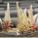 이엠한의원 이미지