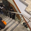 [압구정로데오] 뱃고동, 압구정 토박이들이 추천하는 오징어불고기 오징어튀김 맛집 솔직 후기