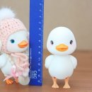 오덕농장 이미지