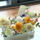 돈암1동 주민센터 이미지