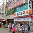 꼭지네