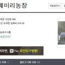 훼미리 이미지