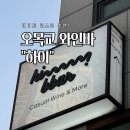 오목교 데이트 추천 반려동물 동반 가능한 캐주얼 와인바 하이