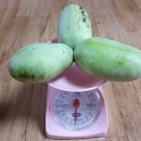 인일농장 이미지
