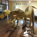 경북대학교자연사박물관 이미지