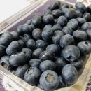 대환 농장 이미지