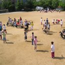 조동초등학교 이미지