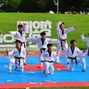 기합소리태권도 네이버블로그